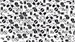 Test visual: ¿Eres capaz de encontrar al panda en sólo 5 segundos?