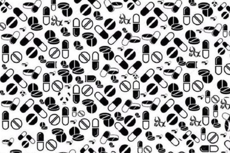 ¿Eres capaz de encontrar al panda en sólo cinco segundos?