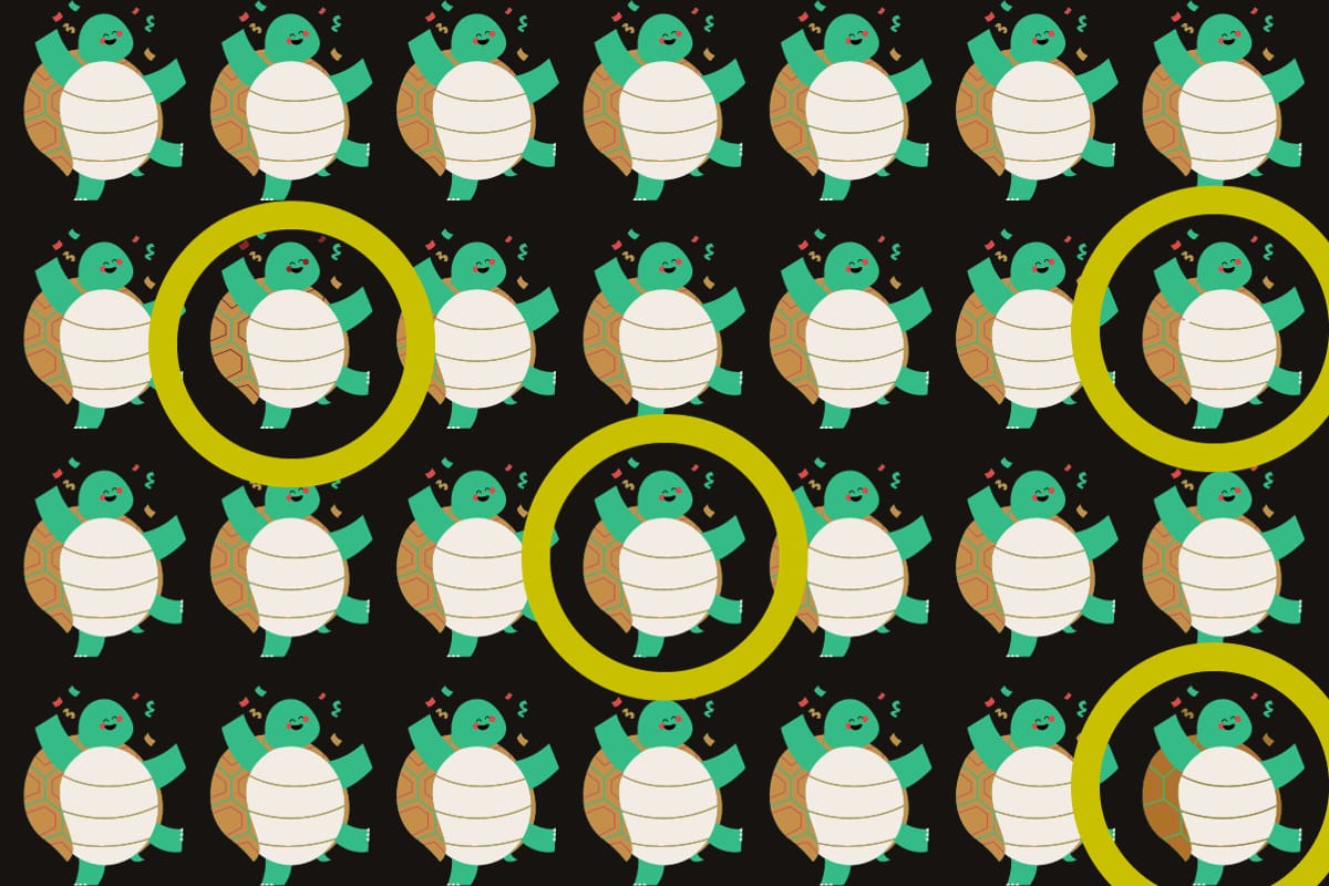 Acá se encontraban las cuatro tortugas diferentes.