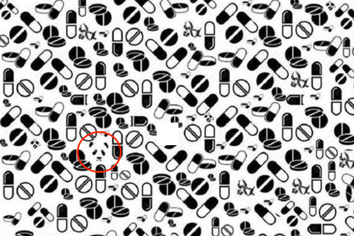 Este es el resultado de este Test Visual. ¿Lograste encontrar al panda?