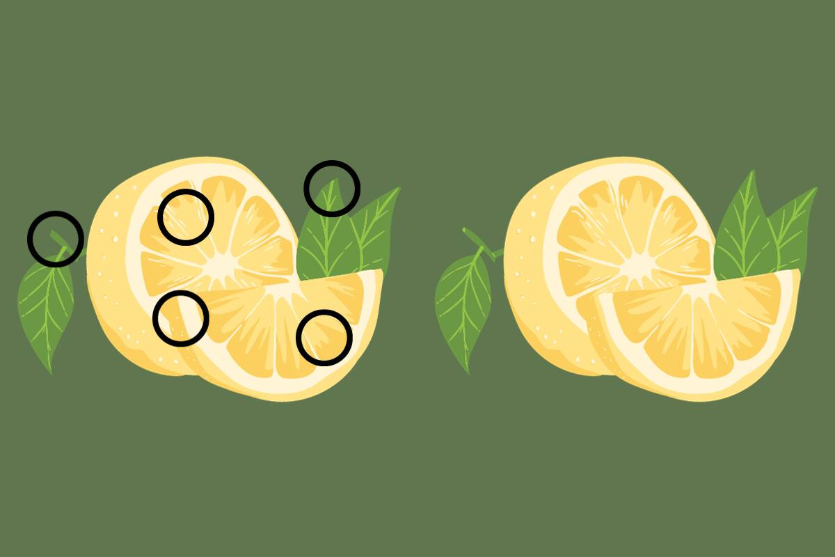 ¡Estas eran las diferencias entre los limones!