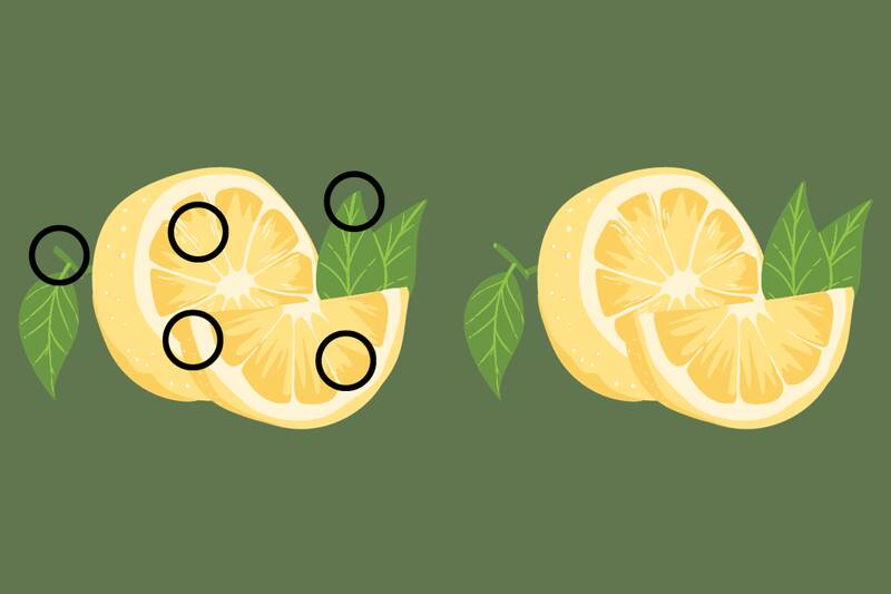 ¡Estas eran las diferencias entre los limones!
