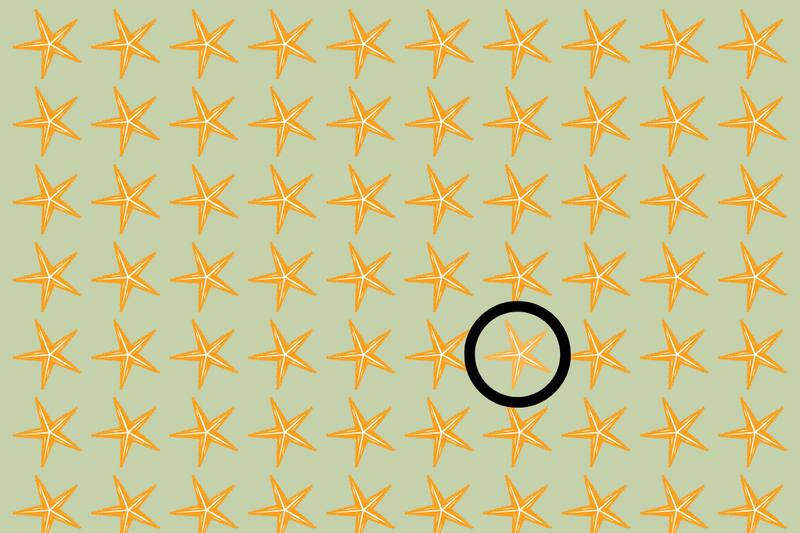 ¡Aquí estaba la estrella de mar distinta! ¿La habías visto?