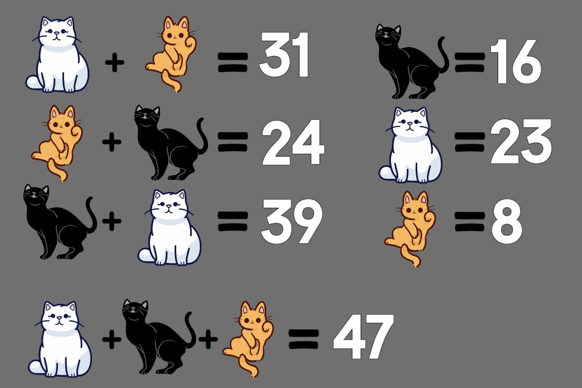 Estos eran los valores de cada gato y la suma de los tres.
