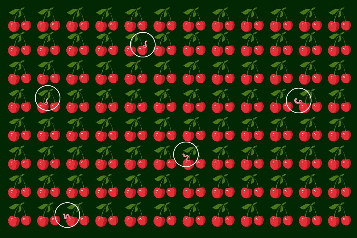 Aquí están los cinco gusanos invasores.