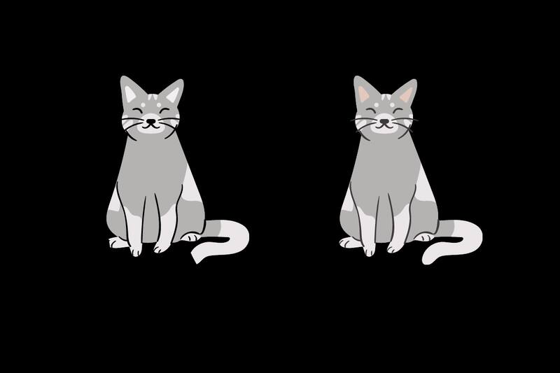 ¿Puedes encontrar las 6 diferencias?