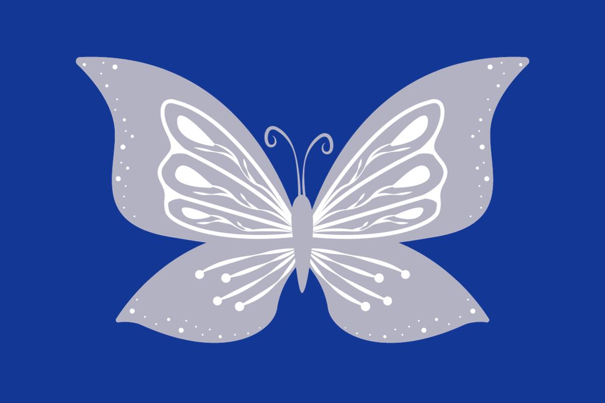 ¿De qué color es realmente la mariposa?