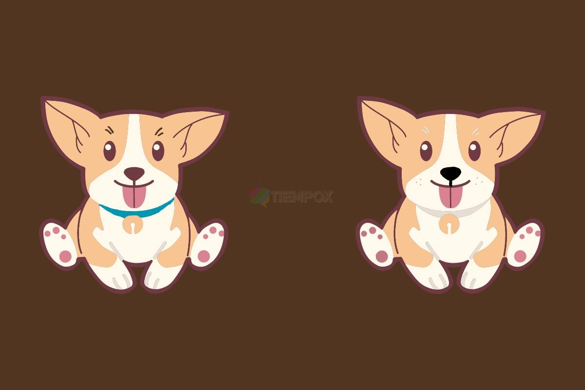 Test Visual ¿Cuáles son las 5 diferencias? - Créditos: Tiempox.com