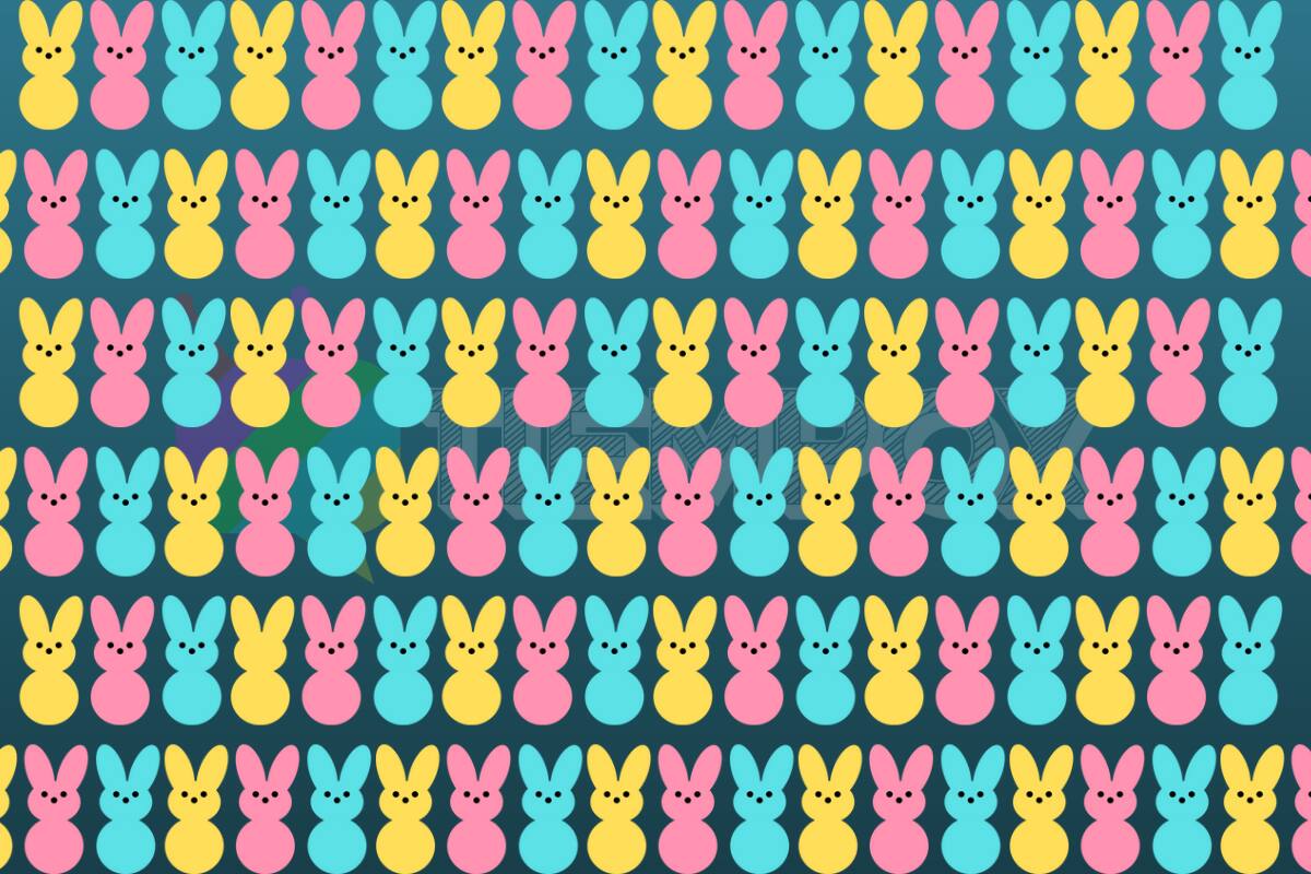 Test Visual ¿Dónde está el conejo de pascua diferente? - Créditos: Ilustraciones: Diana McDermott | Edición: Tiempox.com