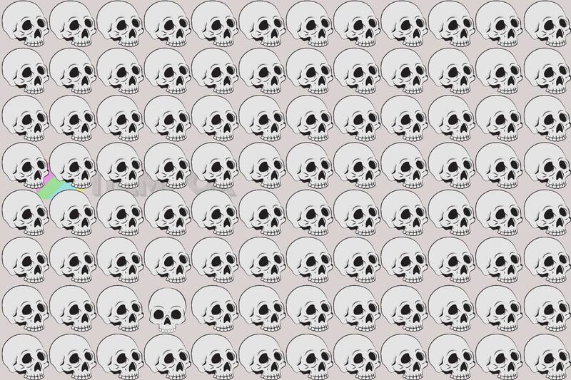 Test Visual ¿Dónde está la calavera que mira en una dirección diferente? - Créditos: Tiempox.com