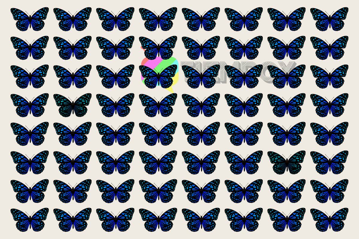 Test Visual ¿Dónde están las mariposas diferentes? - Créditos: Tiempox.com