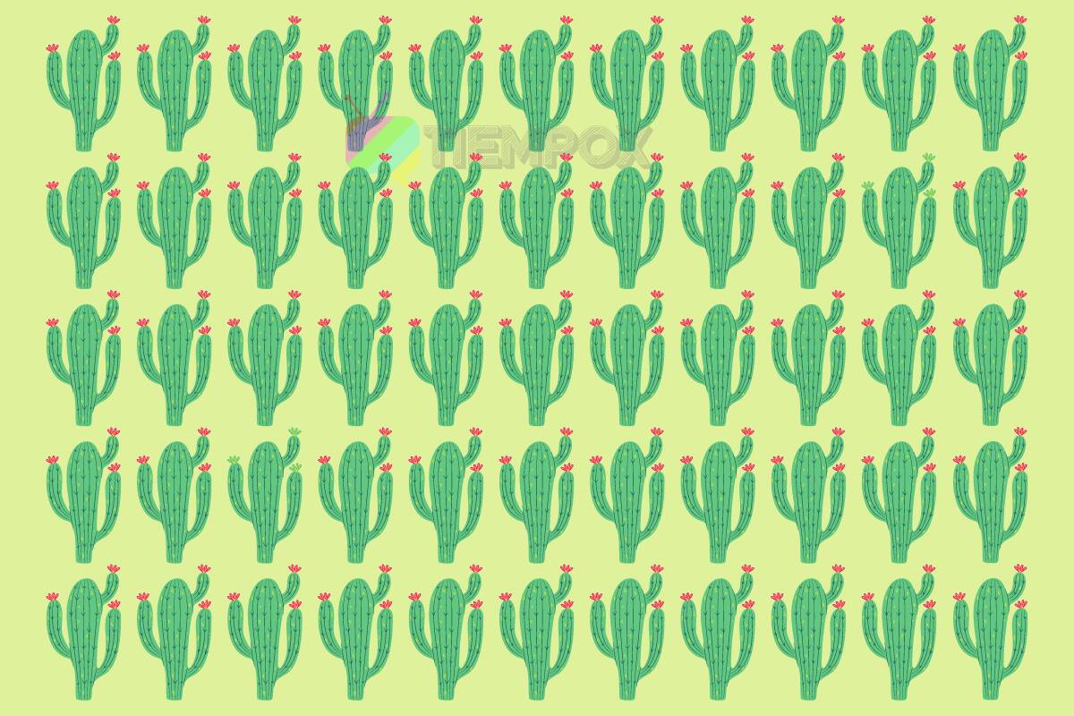 Test Visual ¿Dónde están los dos cactus distintos? - Créditos: Tiempox.com