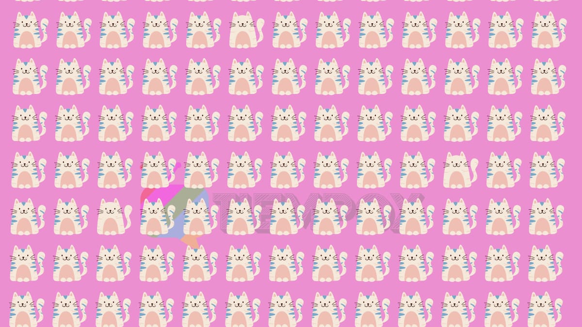 Test Visual: ¡Encuentra los tres gatos diferentes en el menor tiempo posible!