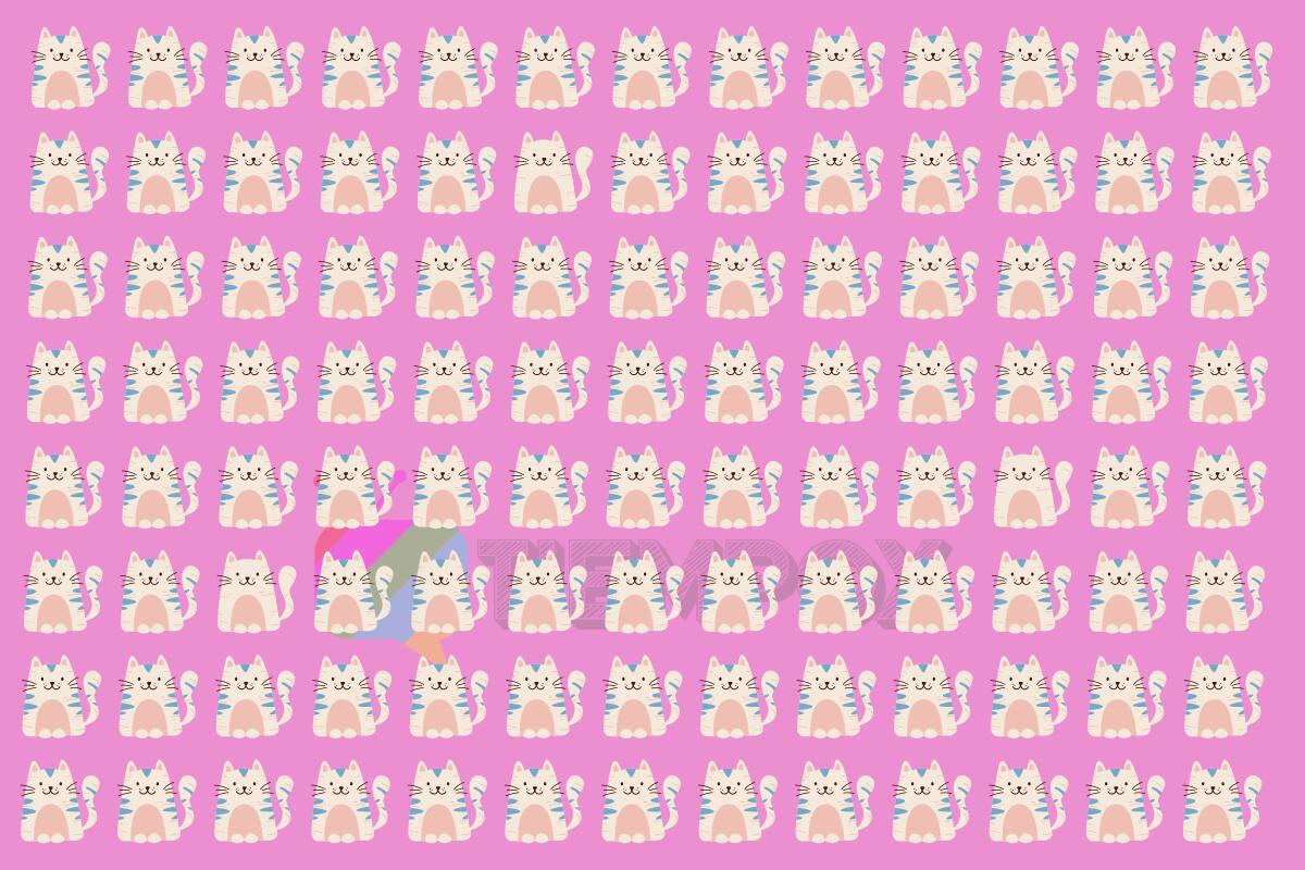 Test Visual Encuentra a los gatos diferentes. - Créditos: Tiempox.com