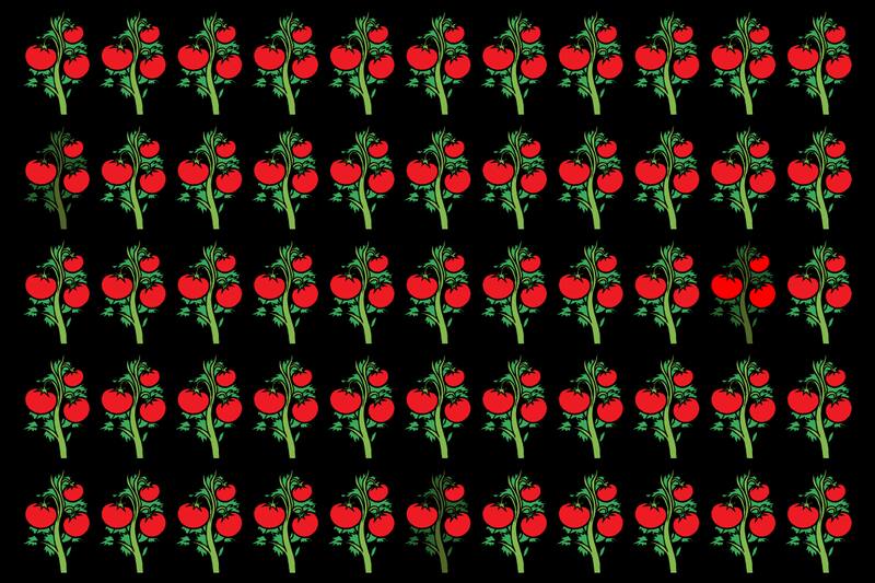 Test Visual Encuentra las matas de tomate que son diferente al resto. - Créditos: Tiempox.com