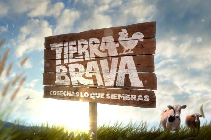 No tendría una segunda temporada, tal como estaba previsto.