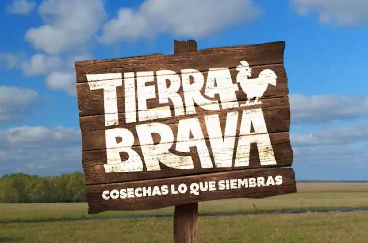 Pamela Díaz VS Camila Campos: Estos serían bandos dentro de “Tierra Brava”