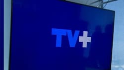 Remezón total en TV+: Canal despide a reconocidos rostros de emblemático programa