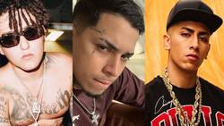 Los artistas urbanos que se movilizaron para ayudar a damnificados por los incendios forestales