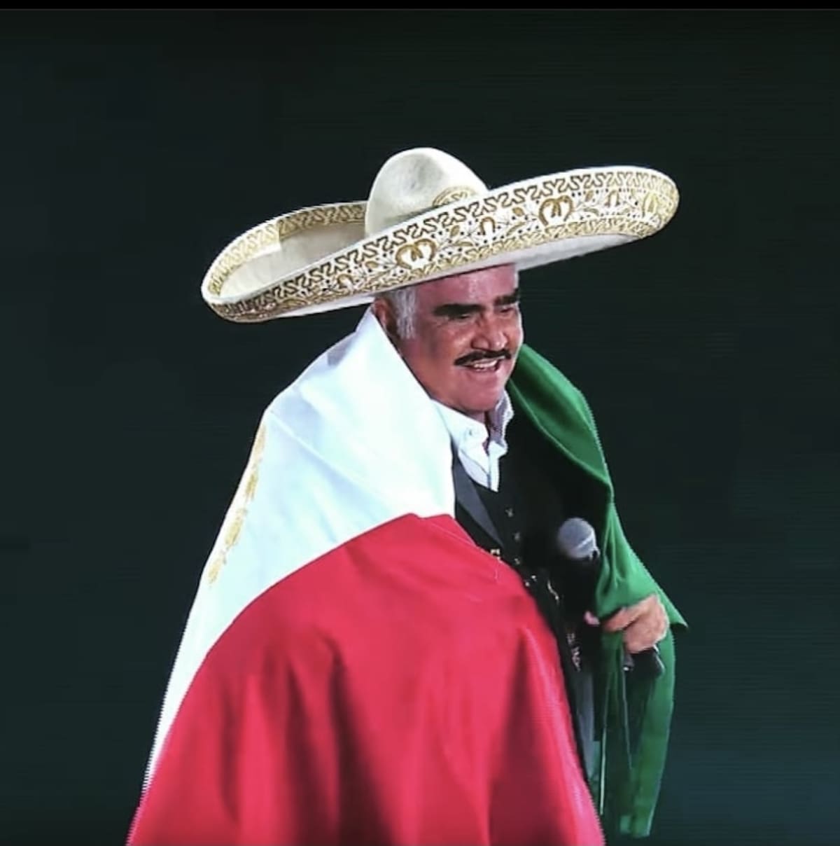 Vicente Fernández El cantante se encuentra retirado de los escenarios - Créditos: Instagram @_vicentefdez