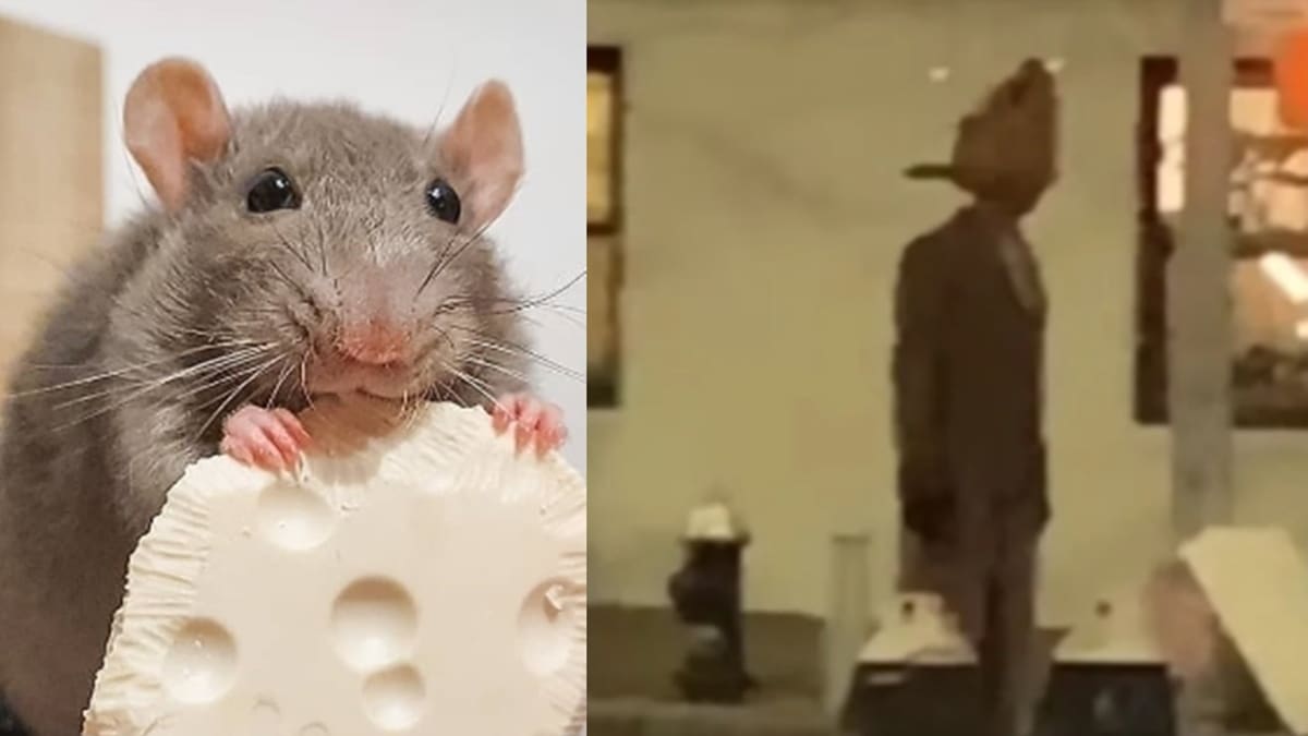 VIDEO: Captan a hombre rata cruzando una calle en Nueva York y se vuelve viral