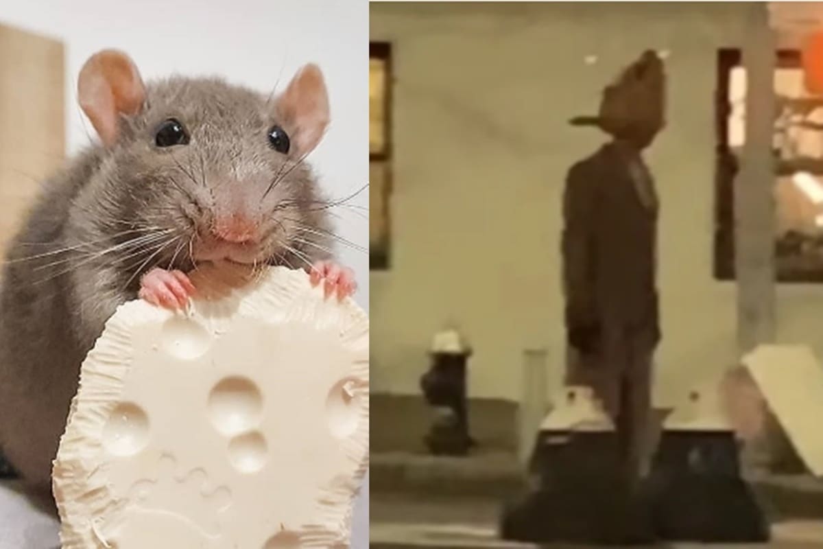 VIDEO: Captan a hombre rata cruzando una calle en Nueva York y se vuelve viral El video se viralizó rápidamente en redes sociales - Créditos: Instagram