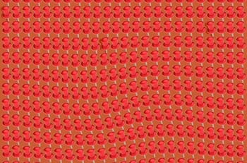 Acertijo visual: Encuentra las tachuelas en tan sólo 40 segundos