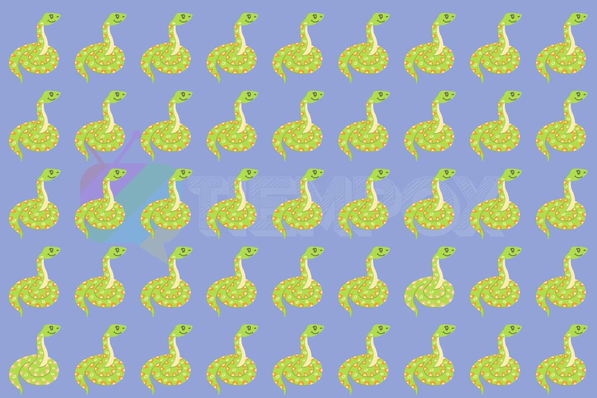 Virales ¿Serás capaz de encontrar las dos serpientes distintas en solo 3 segundos? - Créditos: tiempox.com