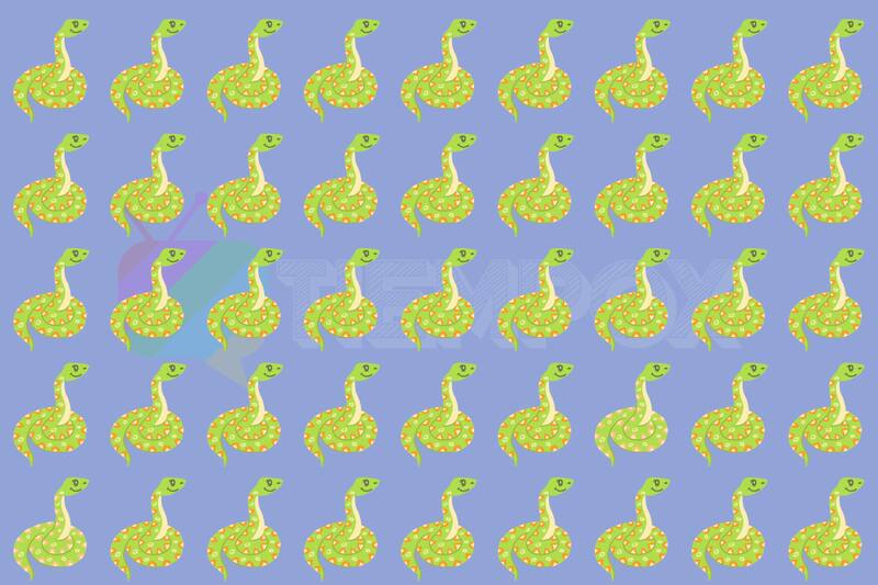 Virales ¿Serás capaz de encontrar las dos serpientes distintas en solo 3 segundos? - Créditos: tiempox.com