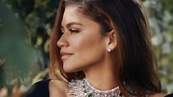 ¡Una suma millonaria! Esta es la cifra que ganará Zendaya por capítulo en "Euphoria"