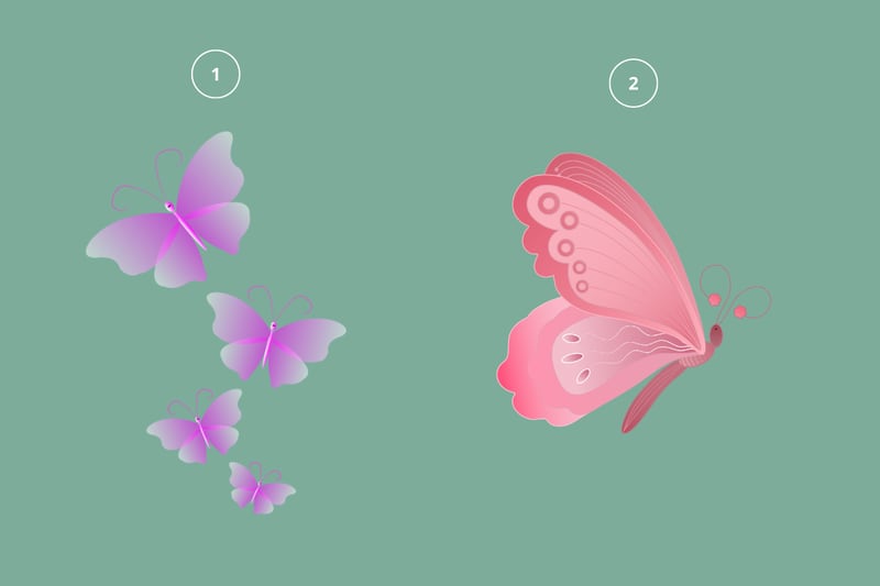 ilustración de mariposas
